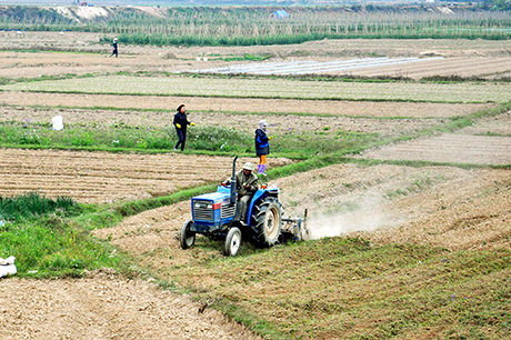 Điều chỉnh quy hoạch sử dụng đất tỉnh Quảng Ninh