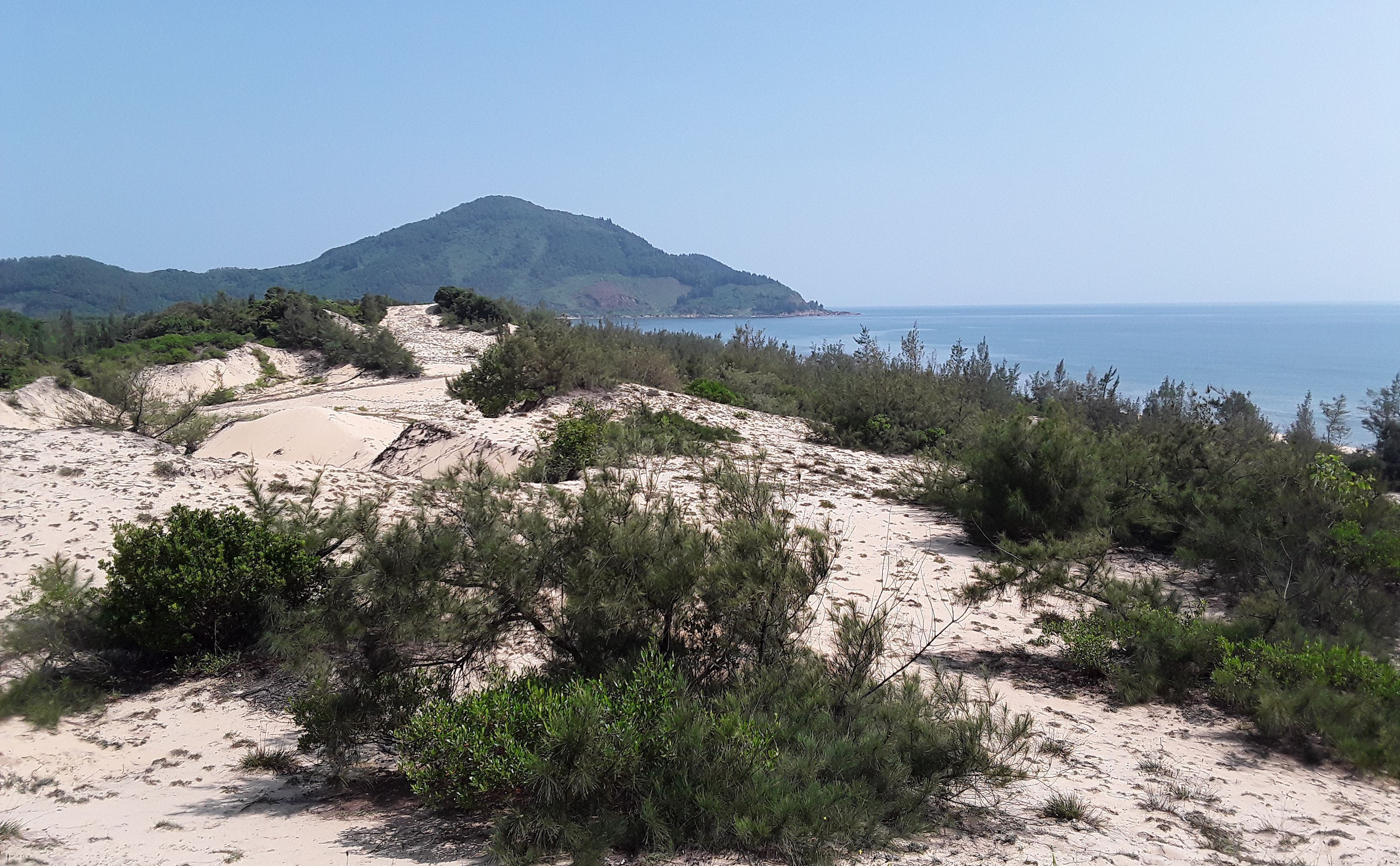 Đất nền chỉ “bụi cây trong cát trắng” tại Lăng Cô (Thừa Thiên Huế) bất ngờ sốt nóng