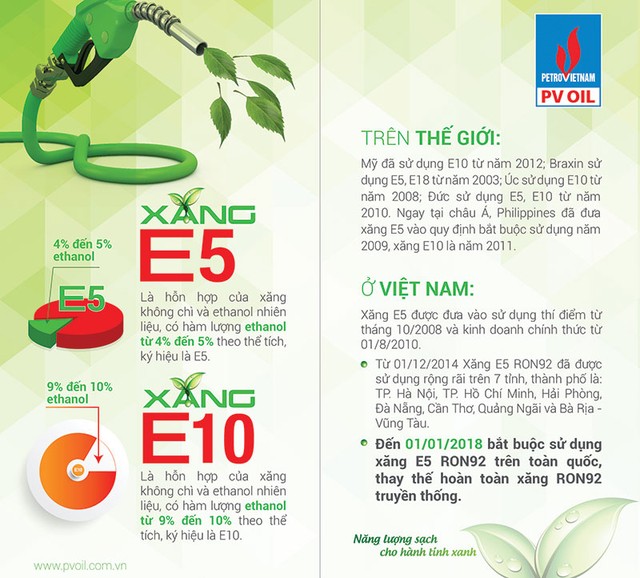 ảnh 1