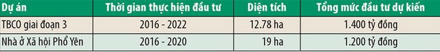 ảnh 2