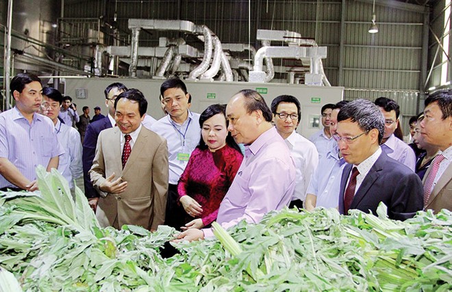Cận cảnh "Con đường thuốc Việt" của Traphaco