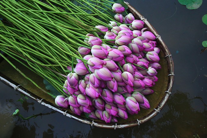 ảnh 4