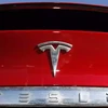 Hãng xe Tesla của tỷ phú Elon Musk ghi nhận lợi nhuận thấp nhất trong 5 năm