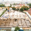 Dự án Shizen Home. Ảnh: Trọng Tín.