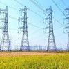 PECC2 (TV2) thành lập Công ty con với vốn điều lệ 69 tỷ đồng