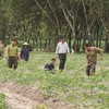 Vietcap khởi động dự án vì cộng đồng Go Green Go Up