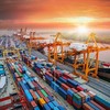 Thích ứng với biến động thuế quan