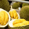 Nhiều doanh nghiệp phải quay đầu bán rẻ sầu riêng nguyên quả ở thị trường nội địa.