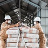 Rào cản kỹ thuật, thuế quan vẫn bủa vây ngành xi măng 