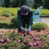 Mùa mưa bão và lời cảnh tỉnh cho an toàn du lịch Việt Nam 