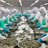 Nhiều các quy định mới đang được EU đưa ra, mục tiêu đảm bảo cho chuỗi cung ứng trở nên minh bạch và bền vững hơn.