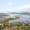 Dự án Nhà máy điện mặt trời KN Vạn Ninh đã đi vào vận hành. Ảnh: Linh Đan 