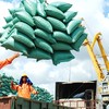 Gam trầm trong xuất khẩu gạo