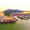 Hai thái cực của doanh nghiệp cảng biển miền Trung 