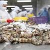Xuất khẩu tôm 9 tháng 2025 tăng mạnh nhất 3 năm qua
