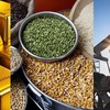 Thị trường hàng hóa thế giới tuần từ 24-31/5: Giá ca cao bật tăng, giá dầu và vàng tiếp tục giảm
