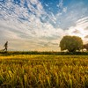 Sự kiện chứng khoán đáng chú ý ngày 16/7