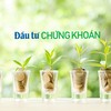 Ảnh: Shutterstock.
