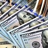 Fed sẽ duy trì lãi suất ở mức hiện tại trong suốt năm 2026