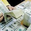 Tỷ giá kỳ vọng ổn định trong nửa cuối 2026