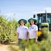 Brilliant Solutions trở thành cổ đông lớn tại AgriS (SBT)