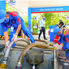 Gần 1.000 cửa hàng xăng dầu PVOIL đã sẵn sàng kinh doanh xăng E10