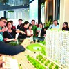 Nhu cầu ở thực đang tái định hình thị trường nhà ở. Ảnh: Lê Toàn.