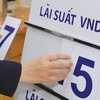 Lãi suất tăng, chứng khoán sẽ tiếp tục phân hóa