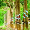 Cổ phiếu cần quan tâm ngày 23/9
