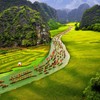 Du khách trải nghiệm Tuần du lịch Ninh Bình trên cánh đồng Tam Cốc. 