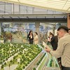 Chỉ lượng nhỏ nguồn cung căn hộ dưới 3 tỷ được bổ sung vào thị trường