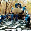 Cổ phiếu cần quan tâm ngày 9/10