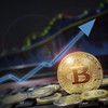 Bitwise dự báo dòng vốn hàng nghìn tỷ USD có thể đổ vào Bitcoin trong hơn 10 năm nữa