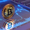 Bitcoin vượt mốc 81.000 USD