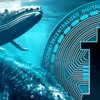 Bitcoin lùi bước trước áp lực chốt lời từ "cá voi"