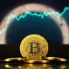 Bất chấp biến động, Bitcoin vẫn đang tiếp tục thu hút dòng vốn mới