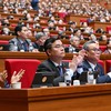 Một phiên làm việc toàn thể của Đại hội - Ảnh: TTXVN.