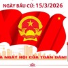 Bầu cử Quốc hội khóa XVI và HĐND các cấp: Công tác lãnh đạo chỉ đạo bầu cử được triển khai đồng bộ, quyết liệt