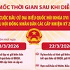 Bầu cử Quốc hội và HĐND: Các mốc thời gian sau khi diễn ra cuộc bầu cử