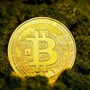 Dòng tiền quay lại Bitcoin khi vàng và dầu biến động mạnh