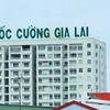Quốc Cường Gia Lai (QCG) bị kiểm toán nghi ngờ đáng kể khả năng hoạt động liên tục