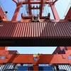 OECD: Hạn chế xuất khẩu đối với các vật liệu thiết yếu đã tăng gấp 5 lần kể từ năm 2009
