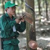 Cao su Phước Hoà (PHR): Lãi đột biến quý I/2026 nhờ bồi thường thực hiện dự án