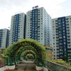 Năm Bảy Bảy (NBB) ghi nhận dòng tiền âm 253,6 tỷ đồng trong quý đầu năm 2026