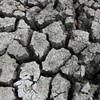 Xung đột Trung Đông và El Nino tạo áp lực kép lên kinh tế châu Á