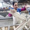 Gỗ Trường Thành (TTF): Miễn nhiệm chức vụ của ông Mai Hữu Tín tại hai công ty con