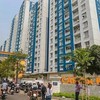 Năm Bảy Bảy (NBB) muốn bán toàn bộ 315.861 cổ phiếu quỹ