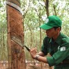 Cao su Phước Hoà (PHR) có thể nhận hơn 1.400 tỷ đồng từ đền bù đất phát triển dự án Khu công nghiệp Bắc Tân Uyên 1