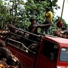 Indonesia siết chặt kiểm soát xuất khẩu hàng hoá