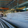 Thép Tiến Lên (TLH) đặt kế hoạch lãi 64 tỷ đồng trong năm 2026
